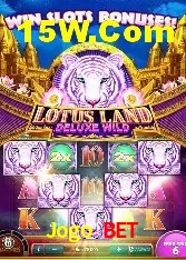 Experiência VIP Jogo Bet